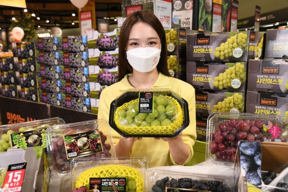 모델이 15일 서울 등촌동 홈플러스 강서점에서 ‘포도 페스티벌’ 행사 상품을 선보이고 있다. 홈플러스 제공.