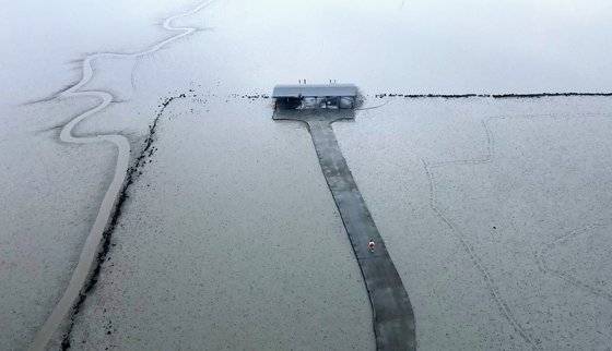 물 빠진 시각, 전남 순천의 와온 갯벌. 순천만 갈대밭의 진짜 주인은 갯벌이다. 갯벌의 힘으로 갈대가 자랄 수 있었고, 갯벌의 힘으로 순천만이 유네스코 세계자연유산이 될 수 있었다. 바닷물 들락거리는 물골과 사람 드나드는 노둣길이 나란하다.