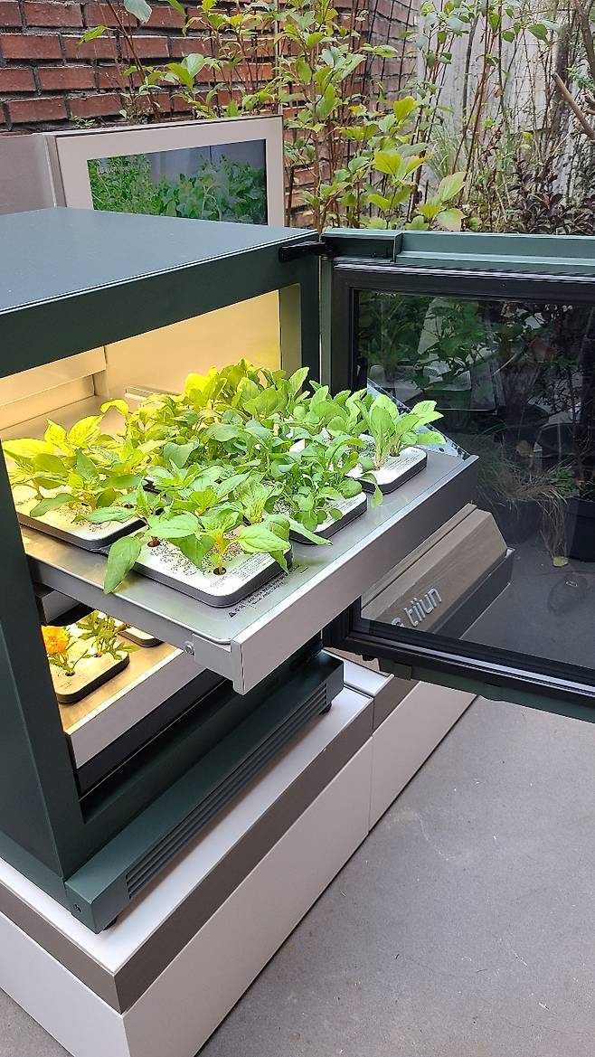 LG Electronics’ tiiun plant grower is displayed at a press event in Seongsu-dong, Seoul, Thursday. (The Korea Herald/Kang Jae-eun)