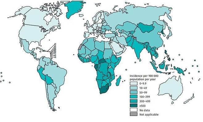 2020년 세계 결핵 발생률 추정치 [WHO 홈페이지 캡처. 재판매 및 DB 금지]