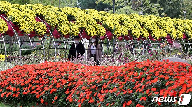 11일 오후 국화전시회가 열리고 있는 대전 유성구 유림공원을 찾은 시민들이 깊어가는 가을 계절을 즐기고 있다. 2021.10.11/뉴스1 © News1 김기태 기자