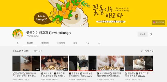 유튜브 '꽃돌이는배고파 FlowerisHungry'