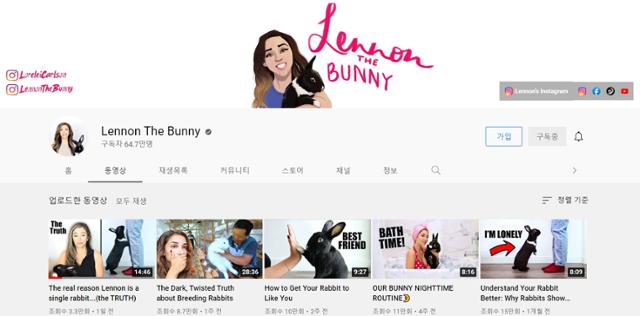 유튜브 'Lennon The Bunny '