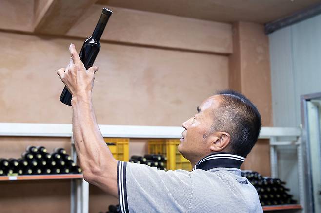 백승현 대표가 병입된 와인의 탁도를 관찰하고 있다. 장진영 기자