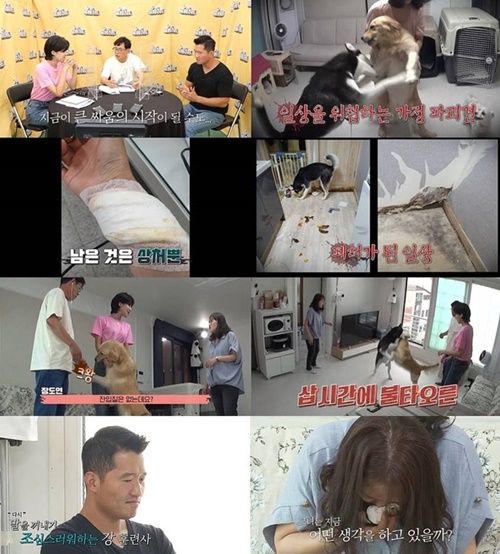 사진=KBS2 ‘개는 훌륭하다’