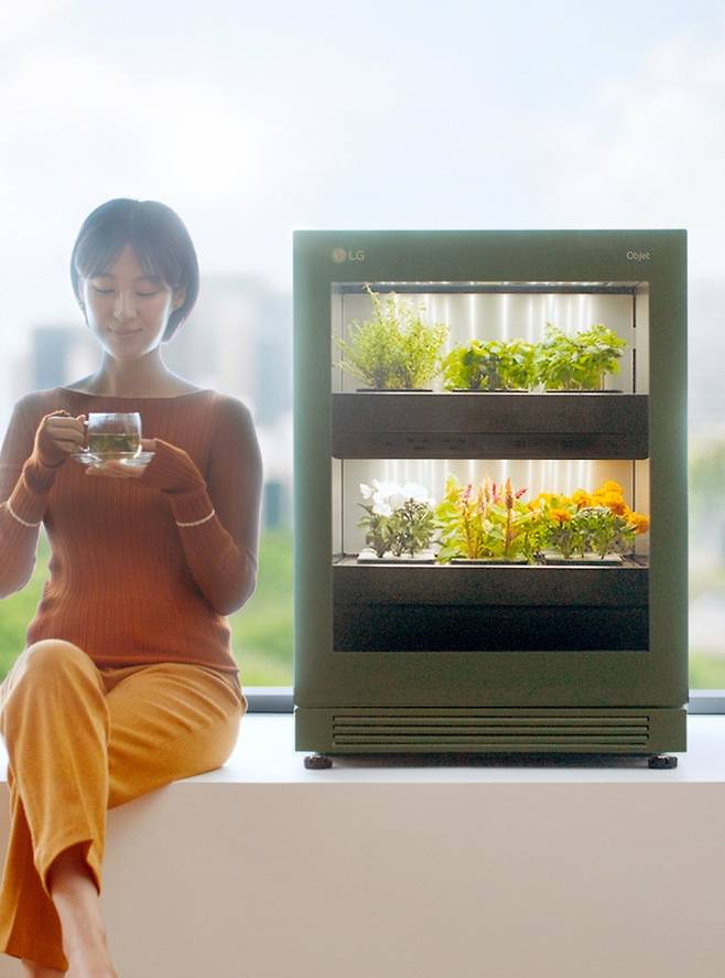 [서울=뉴시스] LG 틔움. (사진=LG전자 제공) 2021.10.14. photo@newsis.com *재판매 및 DB 금지