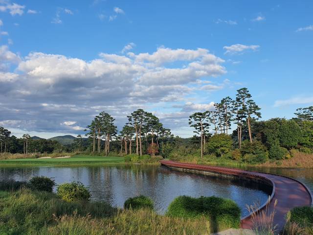 트리니티 클럽 15번 홀 다리.