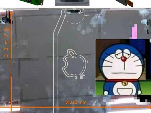 사진=웨이보 @AnyTurtle999