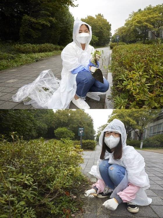 서울숲 공원 화단에서 잡초 뽑기 프로그램에 참여한 소중 학생기자단. 번식력이 강한 잡초는 키우려는 식물과 빛·영양분 등을 두고 경쟁하기 때문에 꾸준히 제거해야 한다.