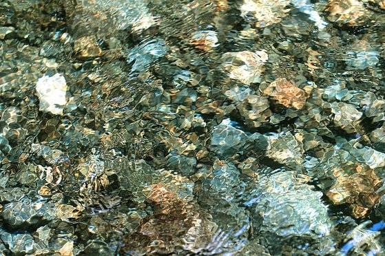 언젠가 계방천에 열목어가 돌아오는 날을 그려본다. 그날이 오면 있는 듯 없는 듯 자연 속으로 스며드는 하루를 보낼 수 있으리라 기대한다. [사진 pixabay]