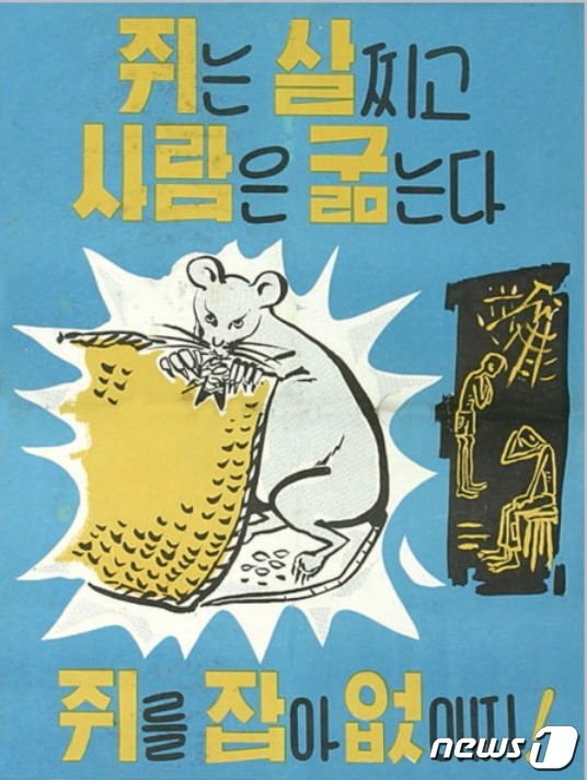1970년대 정부의 쥐잡기 포스터. (자료사진) © 뉴스1