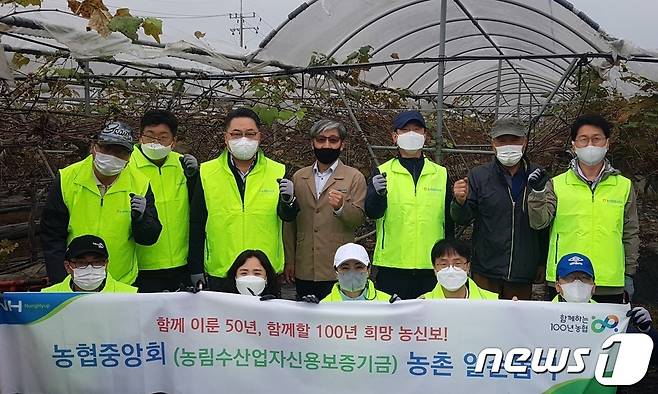 농림수산업자신용보증기금 김석기 상무(두번째줄 왼쪽에서 세번째)와 직원봉사단은 19일 경기 화성시 소재 포도 재배농가에서 전지작업에 동참했다.© 뉴스1
