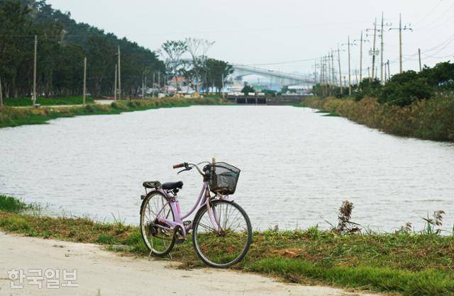 10리 팽나무 길과 나란한 월포천. 신안군은 장차 나룻배를 띄울 계획이라고 밝혔다.