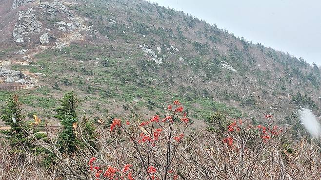 19일 오전 설악산 중청대피소에 첫눈이 내리는 장면. 사진 국립공원공단