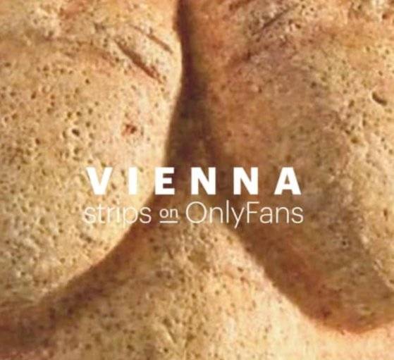 비엔나 관광청 홈페이지 캡처