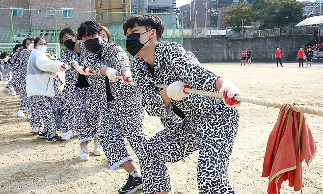 프리랜서 장정필