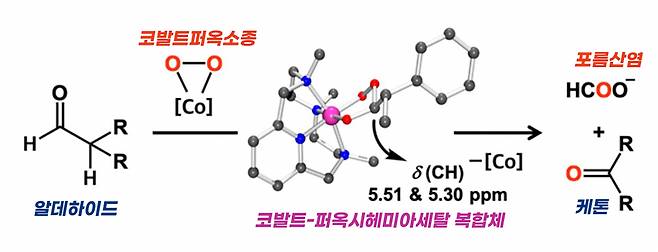 [연구그림] 퍼옥시헤미아세탈 복합체 생성 단계를 거쳐 진행되는 알데하이드 탈포밀화 반응 도식