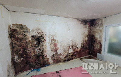 ▲저소득가정 집수리 도배 현장 ⓒ고양시