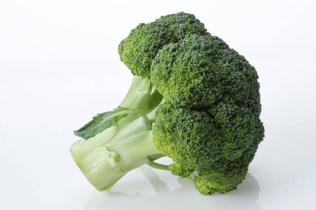 브로콜리에는 면역력을 길러주는 비타민C가 풍부하다./사진=클립아트코리아