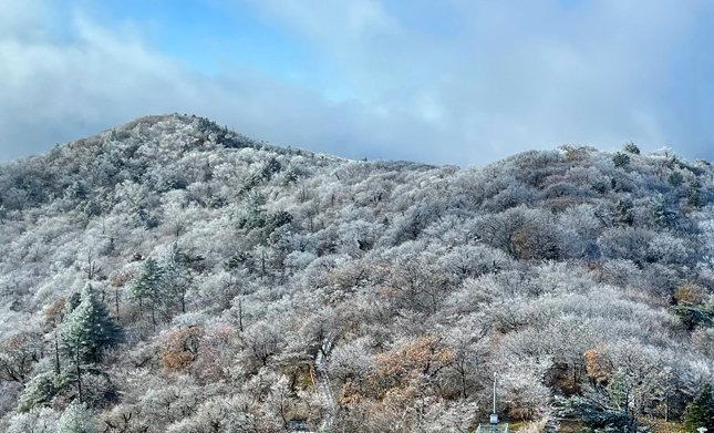 연합뉴스