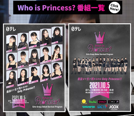 /Who is princess? 홈페이지 캡쳐