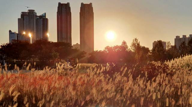 지난해 10월 울산 태화강국가정원의 일출. /사진제공=울산시