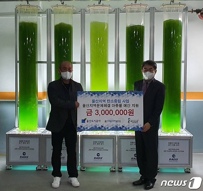 바다드림 생태환경연구소가 개발한 '플랑크톤 공기정화 능력을 활용한 미세먼지·이산화탄소 저감 장비'© 뉴스1