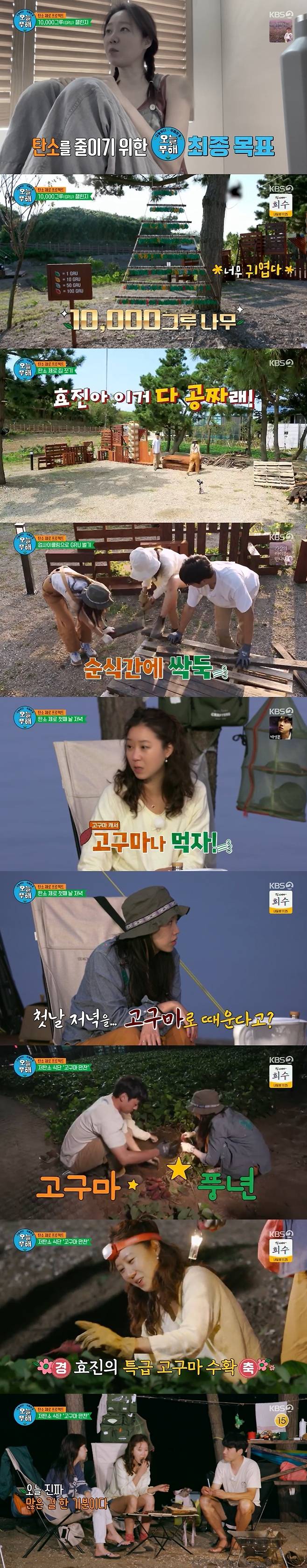 KBS 2TV '오늘부터 무해하게' 캡처 © 뉴스1