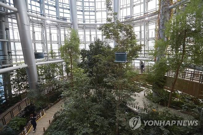 국립생물자원관 곶자왈 생태관[연합뉴스 자료사진]