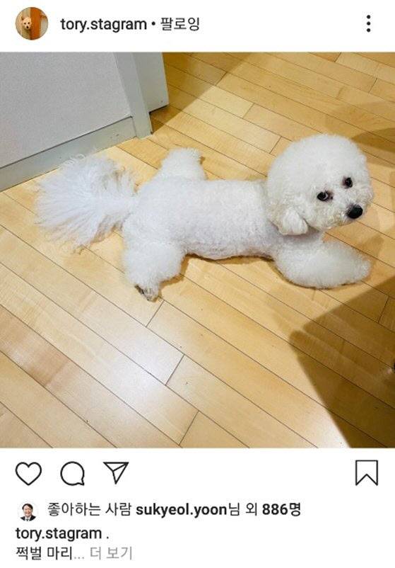 (사진=인스타그램 캡처)