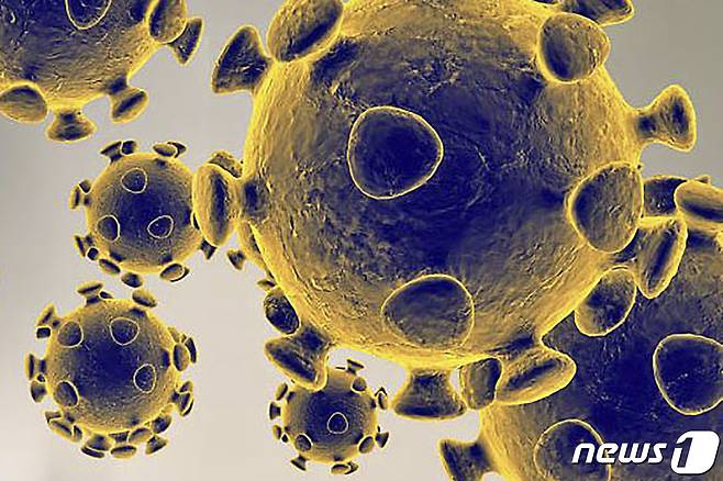 © AFP=뉴스1 자료 사진