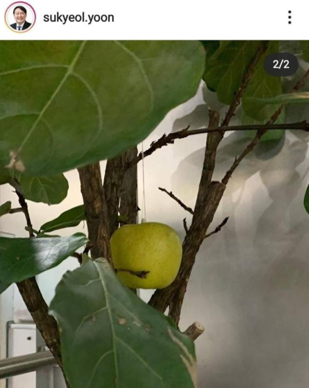 윤석열 전 검찰총장이 21일 인스타그램에 올린 사과 사진. 전두환 옹호 발언에 대해 송구하다고 한 뒤에 올려 논란이다. 윤석열 인스타그램 캡처