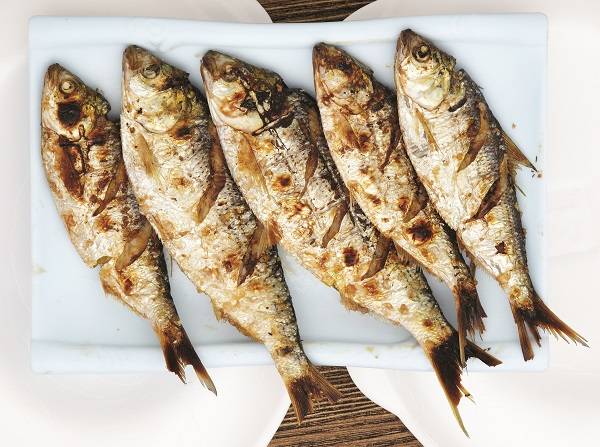 가을 전어는 지방 함량이 다른 계절보다 3배 정도 많다./사진=헬스조선DB