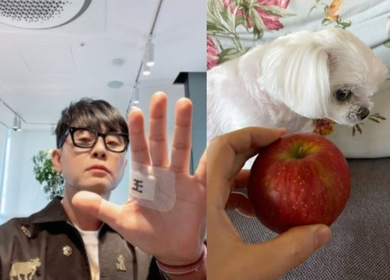 가수 이승환이 윤석열 전 검찰총장의 ‘손바닥 王자’ 논란 당시 올린 사진(왼쪽)과 ‘개 사과’ 논란에 올린 사진. [이승환 인스타그램 캡처]