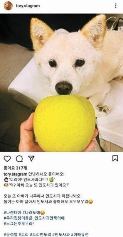 [토리스타그램 캡처]