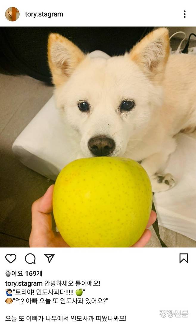 윤석열 전 검찰총장 대선캠프에서 관리하는 윤 전 총장 반려견 ‘토리’ 명의의 인스타그램 계정에 사과를 건네는 사진이 올라왔다. ‘토리’ 인스타그램 캡처