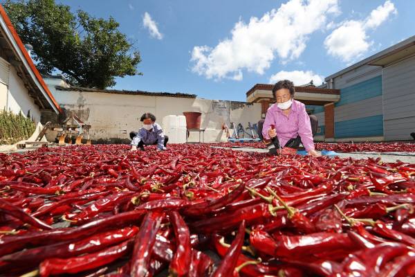 [사진 출처 = 연합뉴스]