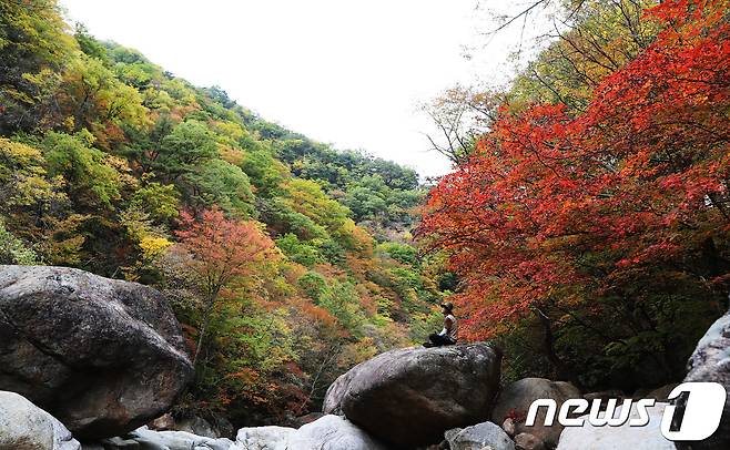 절기상 상강을 하루 앞둔 22일 경남 함양군 마천면 지리산 칠선계곡을 찾은 한 등산객이 바위에 올라 물들어 가는 가을정취를 만끽하고 있다. 2017.10.23/뉴스1