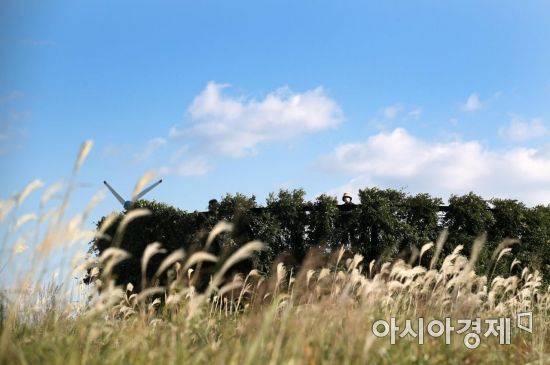 22일 서울 마포구 하늘공원을 찾은 시민들이 억새길을 돌아보며 가을 정취를 만끽하고 있다./김현민 기자 kimhyun81@