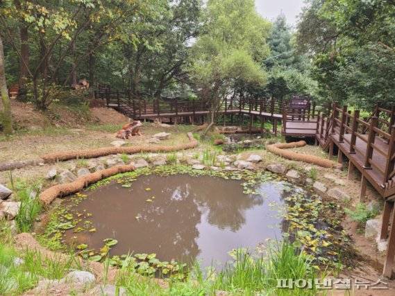 안양 관악산 간촌골 산림습지. 사진제공=안양시