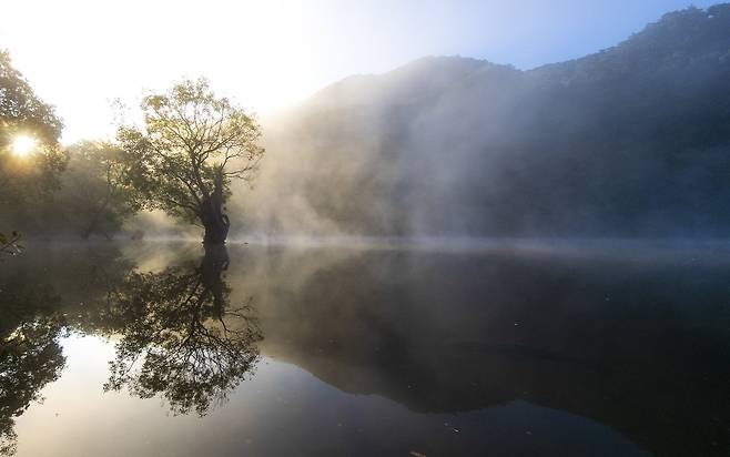 핸드폰사진관/ 주산지