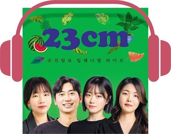 ▲ 조선일보 23CM