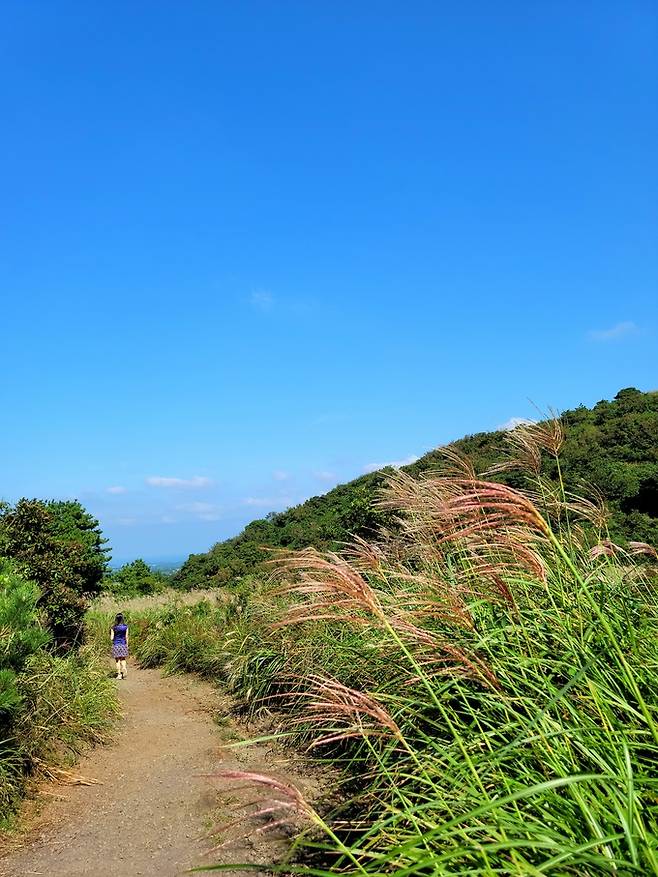 아끈다랑쉬오름 가는 길