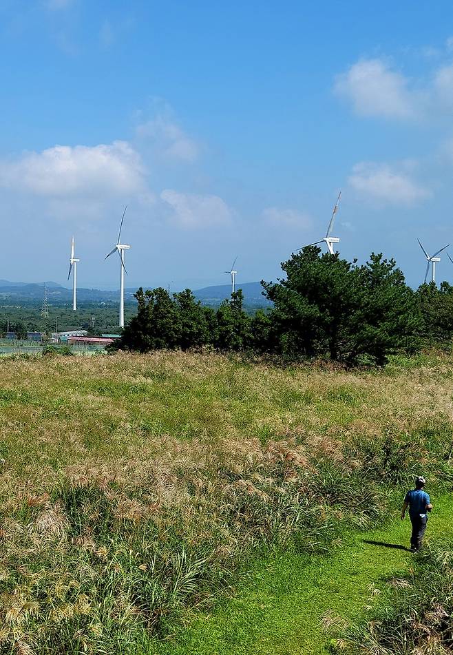 궁대악 분화구 전망대 갈대밭