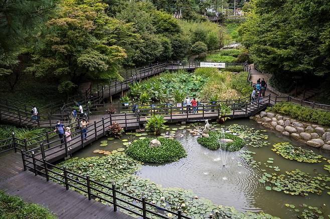 아차산 생태공원 위쪽 도로에서 내려다본 습지원 전경. 습지원 중앙에 빅토리아 수련이 피어 관람객의 발길을 끈다. 서울관광재단 제공