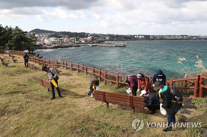 제주올레 걷기축제  [연합뉴스 자료 사진]