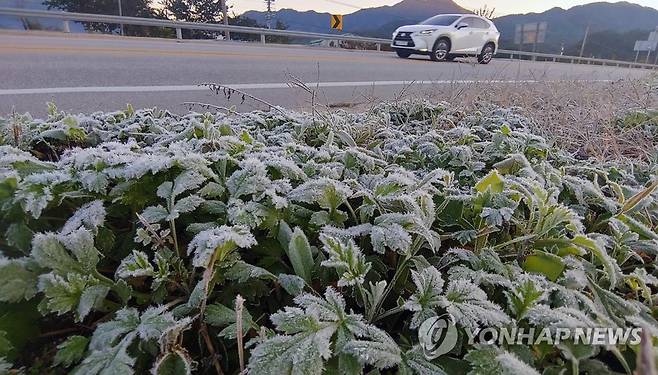 영하의 날씨 보인 강원 산간 [연합뉴스 자료사진]