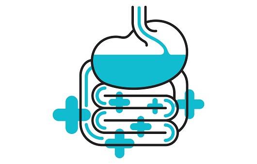 유수빈 약사는 유산균 복용 효과와 유산균을 고르는 법에 대해 설명했다