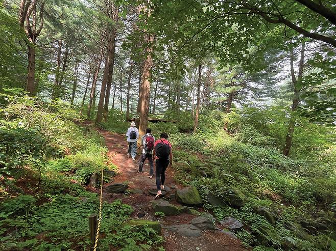 촉촉하고 부드러운 땅에 맨발이 닿으면 땅의 따스한 기운이 온몸으로 전달된다.