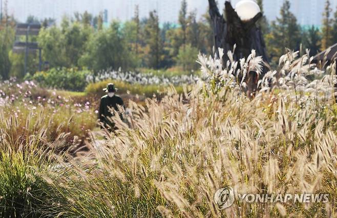 가을 산책 [연합뉴스 자료사진]